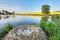 Swan nest with eggs by a pond