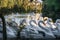 Swan Pedal Boats at Lago Negro Park Black Lake with - Gramado, Rio Grande do Sul, Brazil