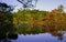 Swan Pond with stunning fall foliage and tranquil water reflections