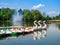 Swan pond in Zwickau East Germany