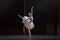 Swan`s lake ballet performance choreographed by Ukrainian artist