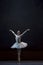 Swan`s lake ballet performance choreographed by Ukrainian artist