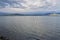 Swan in the sea in Puerto Natales, Chile