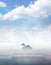 Swan silhouette on lake blue sky with clouds wallpaper