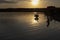 Swan silhouette on river lake at sunset with child playing