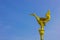 Swan statue with blue sky