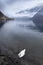 Swan swimming in Hallstatt lake in Austria on a rainy, winter day