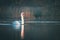 Swan swims serenely on the calm water of a lake