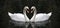 Swan symbol of love