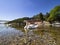 Swan with the Viscontea Island of Lecco in background