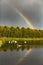 Swan in the water and a rainbow