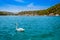 Swan and yachts at pier in Skradin in Krka National Park, Croatia. Sibenik bridge over Krka River