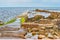 Swanage Peveril Point mossy walkway into the sea