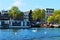 Swans in Amsterdam, Netherlands, Europe