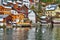 Swans at the bank of Hallstatt, Salzkammergut, Austria