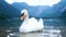 Swans bird lake mountains nature