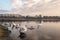 Swans clean themselves on a frozen lake in the middle of Winter in Hornsea Mere