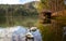 The swans couple lover in Pang Ung National Park, Mae hong son