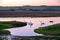 Swans on the Cuckmere river, South East England