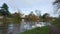 swans and ducks walking up flooded river bank path