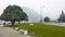 Swans eating grass at the edge of Lugano lake 