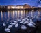 Swans on the evening Vltava river in Prague