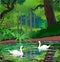 Swans on a forest pond