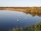 Swans in a french swamp