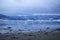 Swans and geese at Trondheim fjord