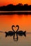 Swans heart sunset