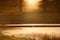 Swans on Lake at Sunset