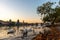 Swans in the morning on the Vltava in Prague