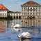 Swans of Nymphenburg castle in Munich