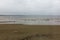 swans and other birds in late autumn on the beach in Swinoujscie