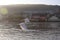 Swans over the Moselle river, Luxembourg