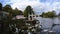 Swans and people enjoying the sunshine at Windsor River Thames. -  4k footage