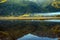 Swans reflecting in a stunning Alaskan lake