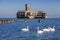 Swans on the sea at world war II torpedo platform