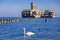 Swans on the sea at world war II torpedo platform