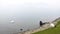 Swans and seagulls on Lugano Lake