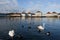 Swans seen at Nymphenburg Palace