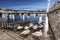 Swans shadows at Geneva lake and bridge,