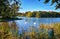 Swans on the small island in Lankower See in Schwerin