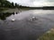 Swans swim in the lake under the evening overcast sky