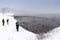 Swans and teals at Nagahama, Inawashiro Lake in winter