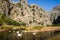 Swans at Torrent de Pareis