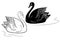 Swans vector