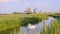 Swans at Windmills in Netherlands