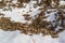 A swarm of bees crawling, macro shot. A colony of bees crawling on a white background. Beekeeping, small business, home