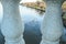 A Swarm of Ducks Swimming in Potomac River Calm Waters.Birds  View Through Arlington Bridge Barriers in Washington DC, USA